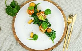 Basenfasten Wacker   2026 V2