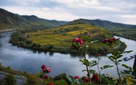 Gekeimte Nudeln mit Hokkaido, Zucchini & Feige2